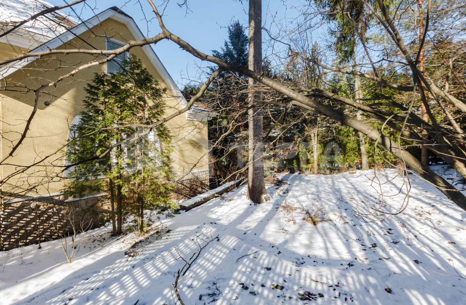 Объект ID 18441 - Участок