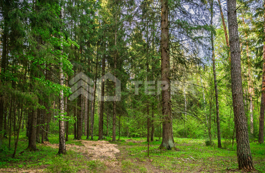 Объект ID 18770 - Участок