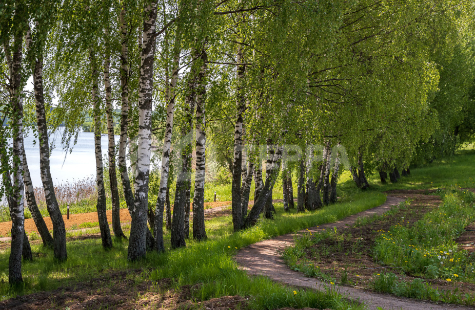 Объект ID 17972 - Участок