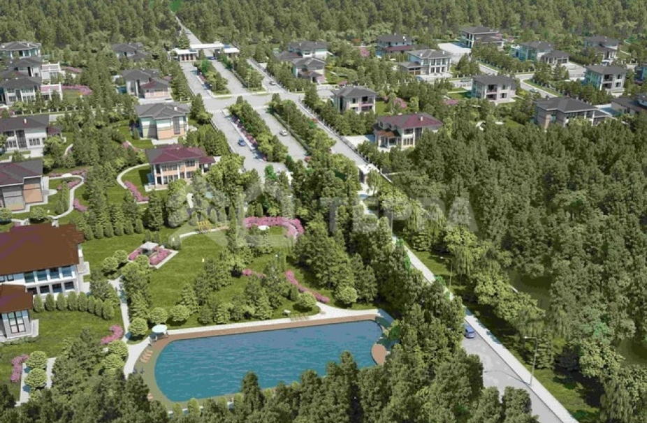 Графские Пруды