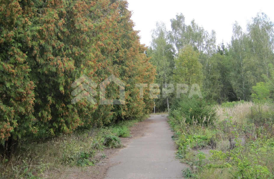 Объект ID 13260 - Участок