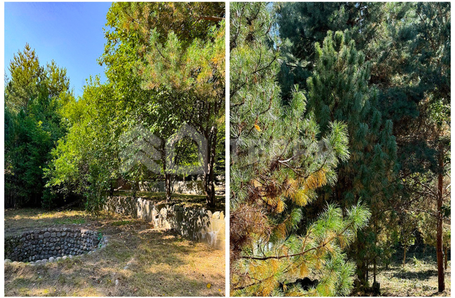 Объект ID 18151 - Участок