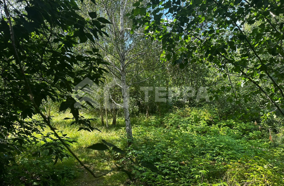 Объект ID 17735 - Участок