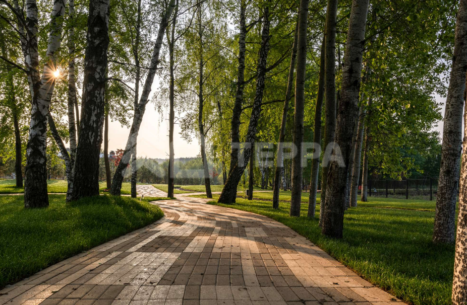 Кристалл Истра