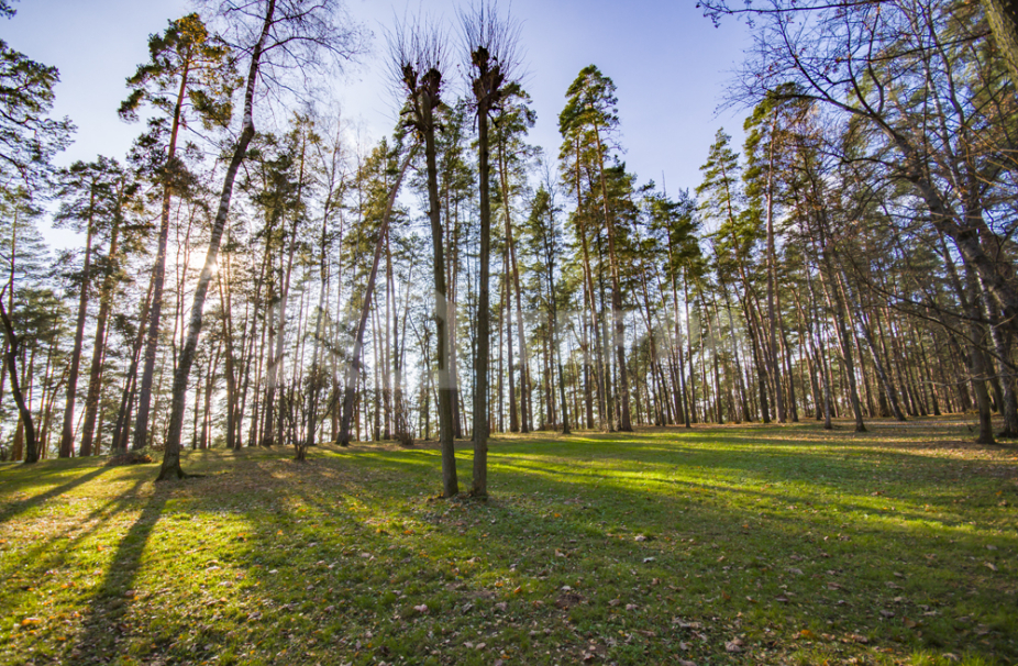 Объект ID 17976 - Участок