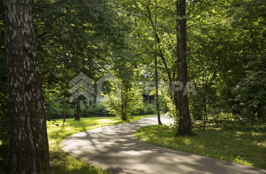 Объект ID 16734 - Участок