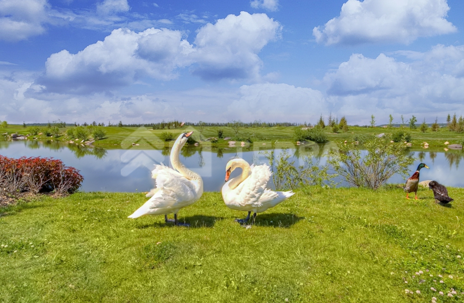 Объект ID 14805 - Участок