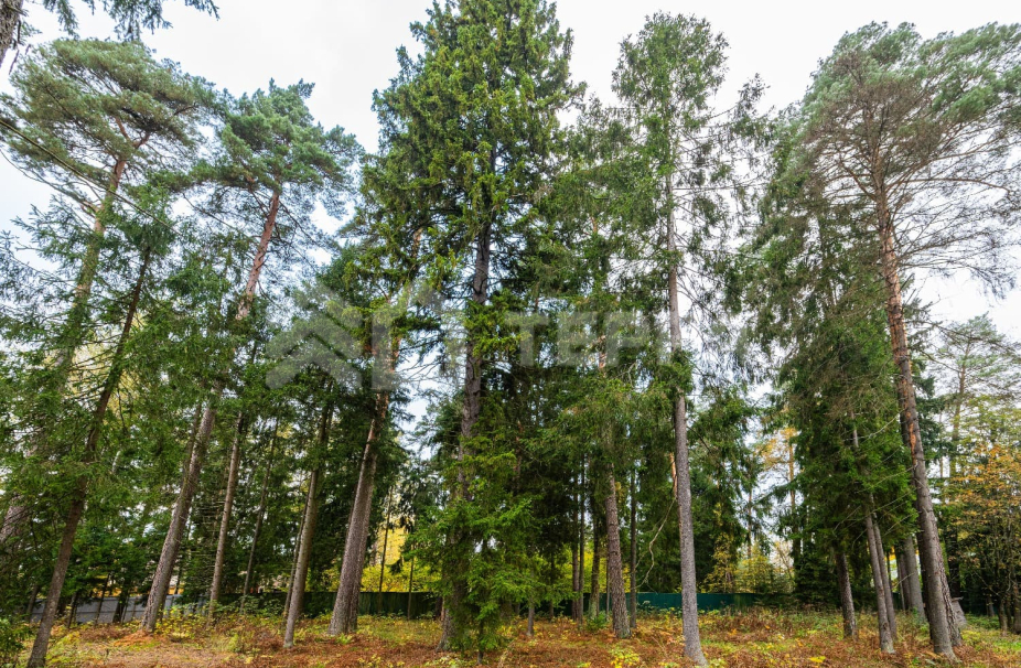 Объект ID 18529 - Участок