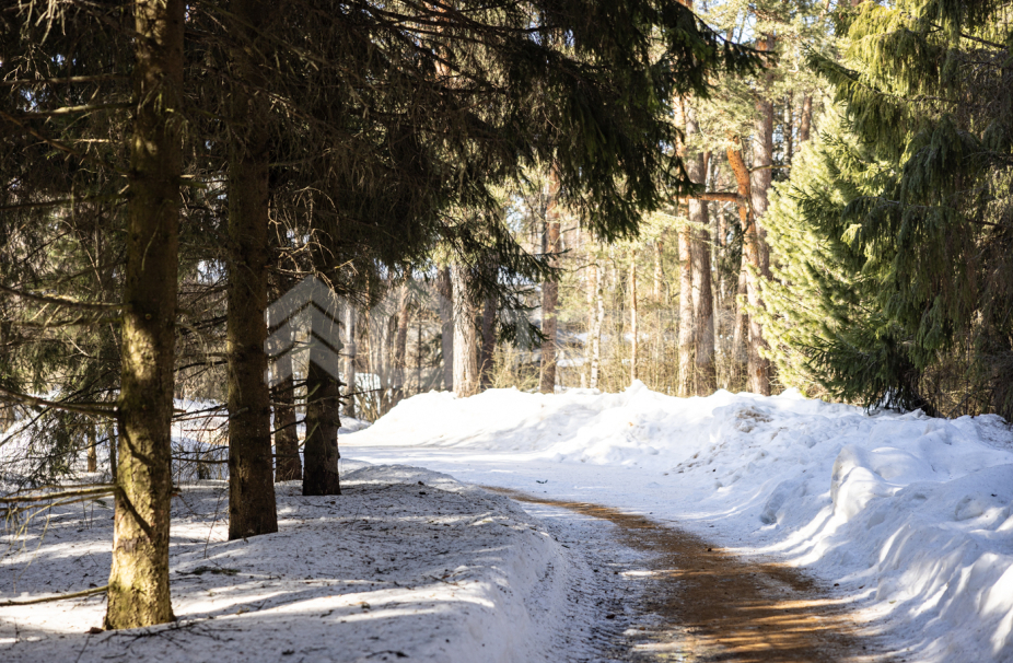 Объект ID 17973 - Участок