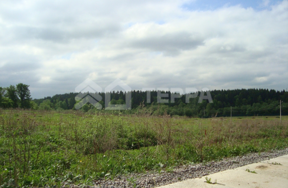 Ближнее Покровское