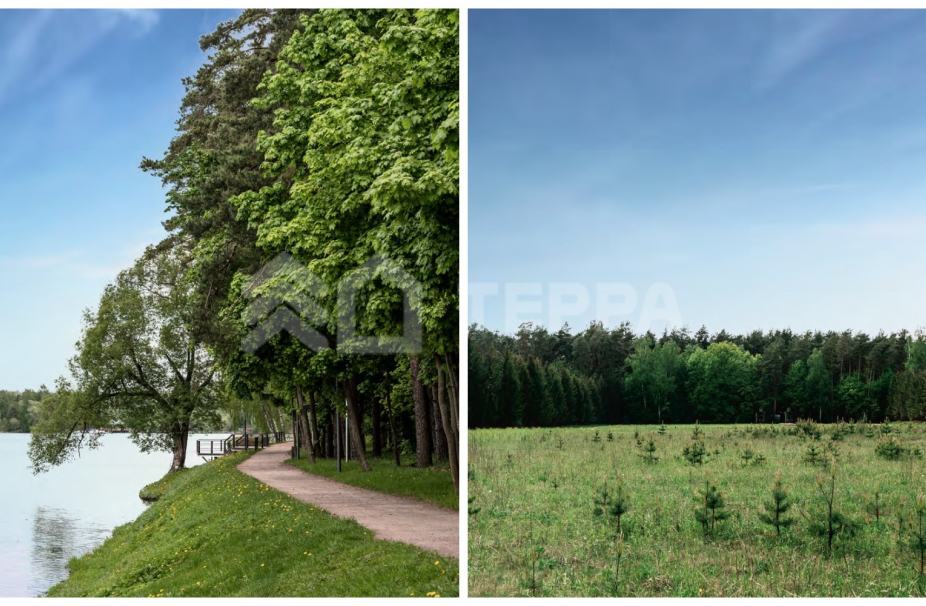 Объект ID 18686 - Участок