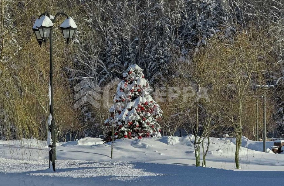 Объект ID 19109 - Дом