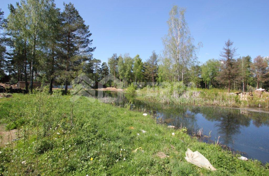 Серебряная роща