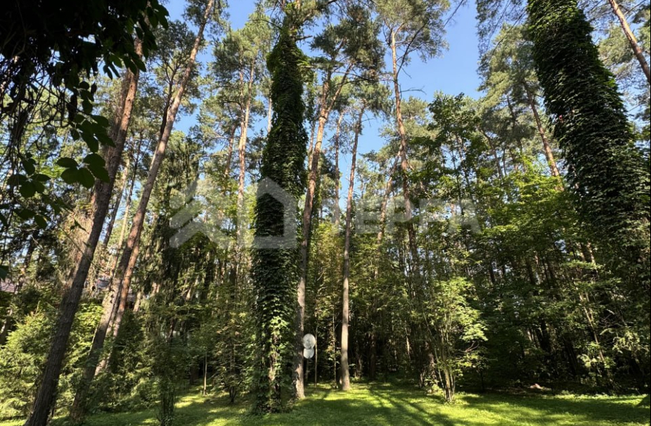 Объект ID 18592 - Участок