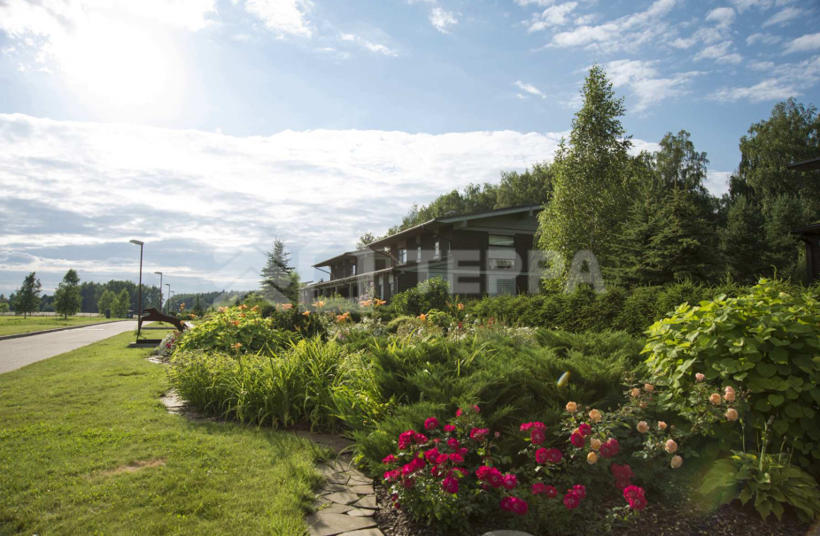 Объект ID 16731 - Участок