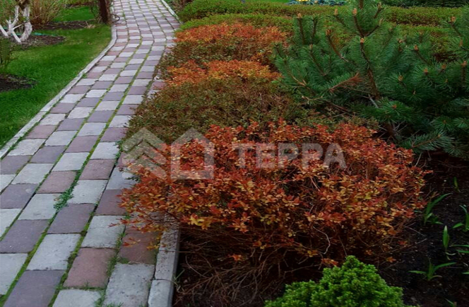 Объект ID 7704 - Дом