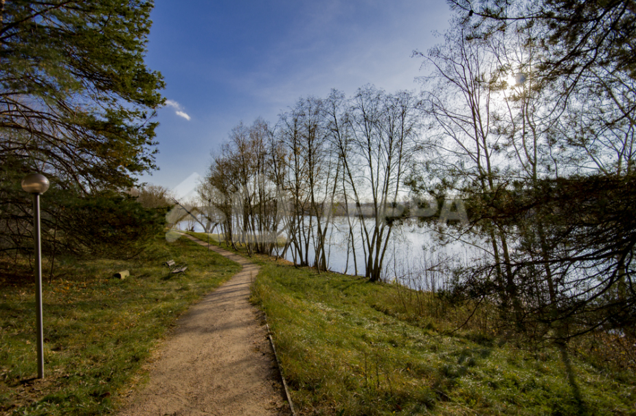 Объект ID 17976 - Участок