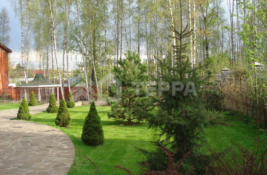 Объект ID 7955 - Дом