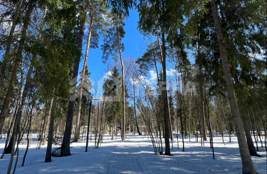 Объект ID 17963 - Участок