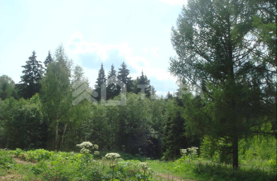 Объект ID 2843 - Участок