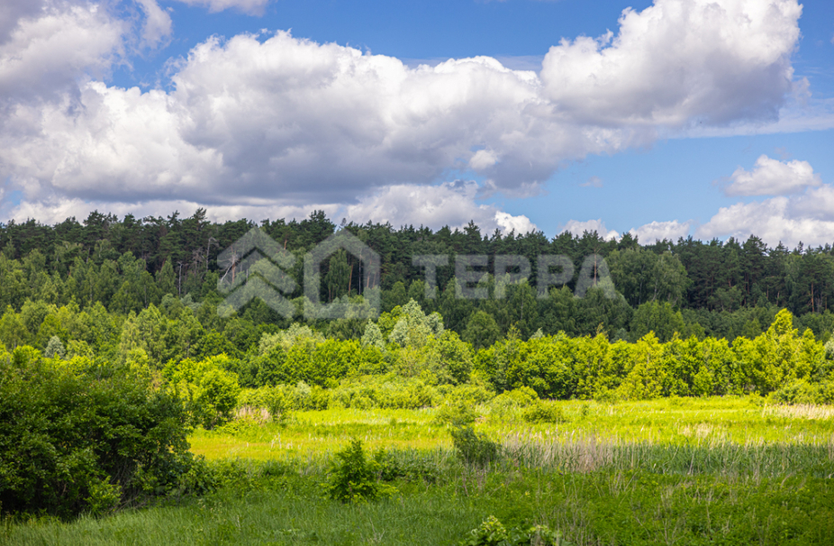 Объект ID 10579 - Участок