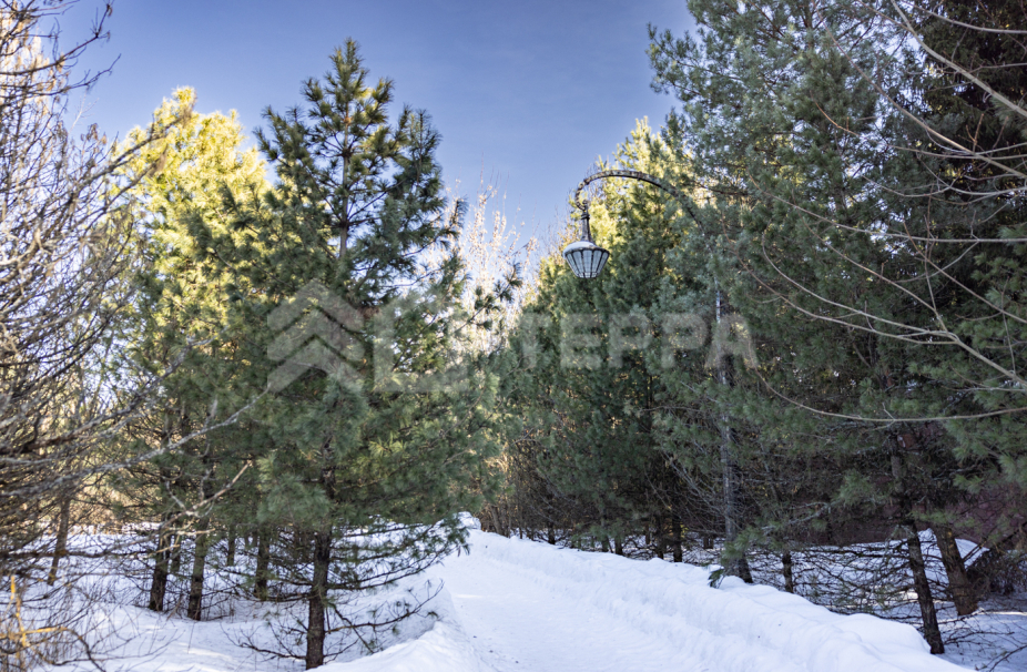 Объект ID 17973 - Участок