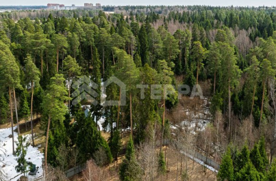 Объект ID 18587 - Дом