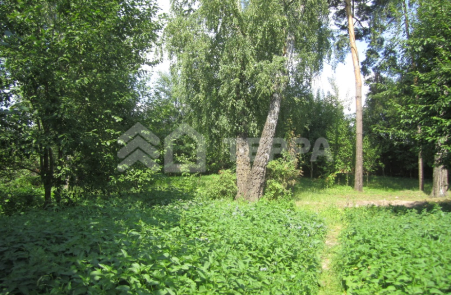 Объект ID 8559 - Участок