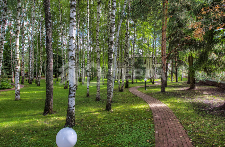 Объект ID 17927 - Дом