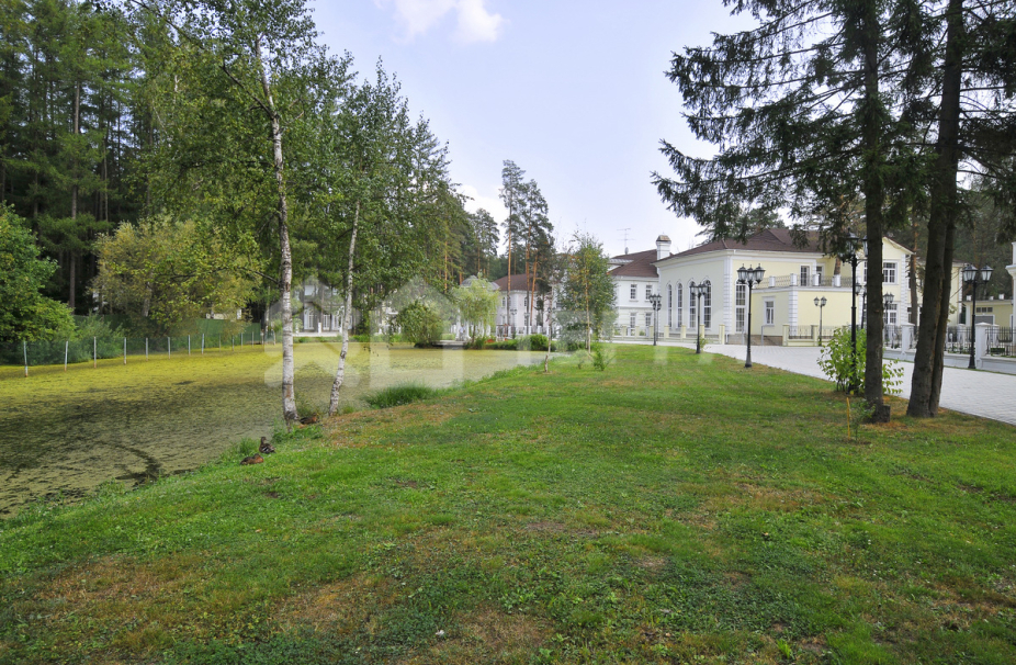 Лебединое озеро (к/п Большого театра)