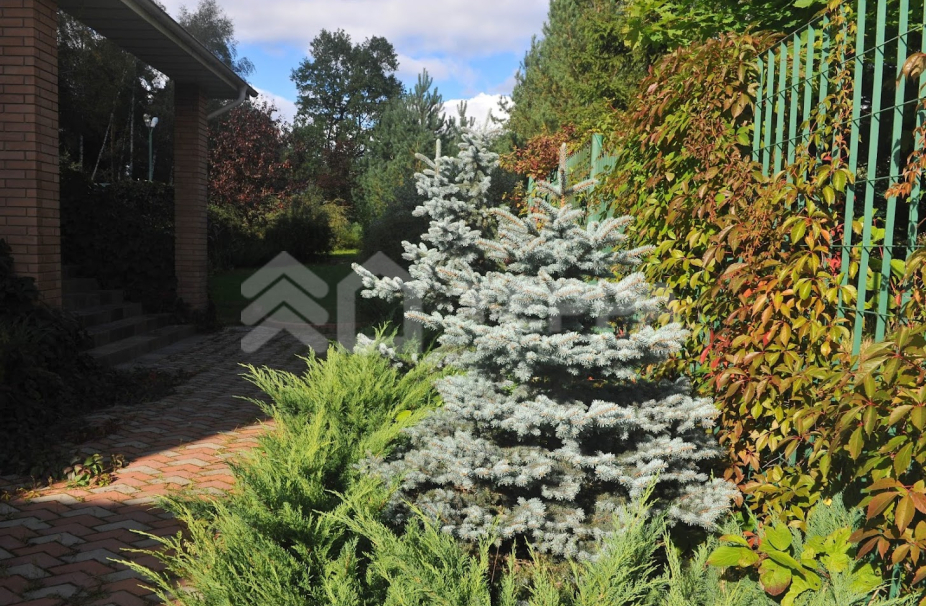 Объект ID 15078 - Дом