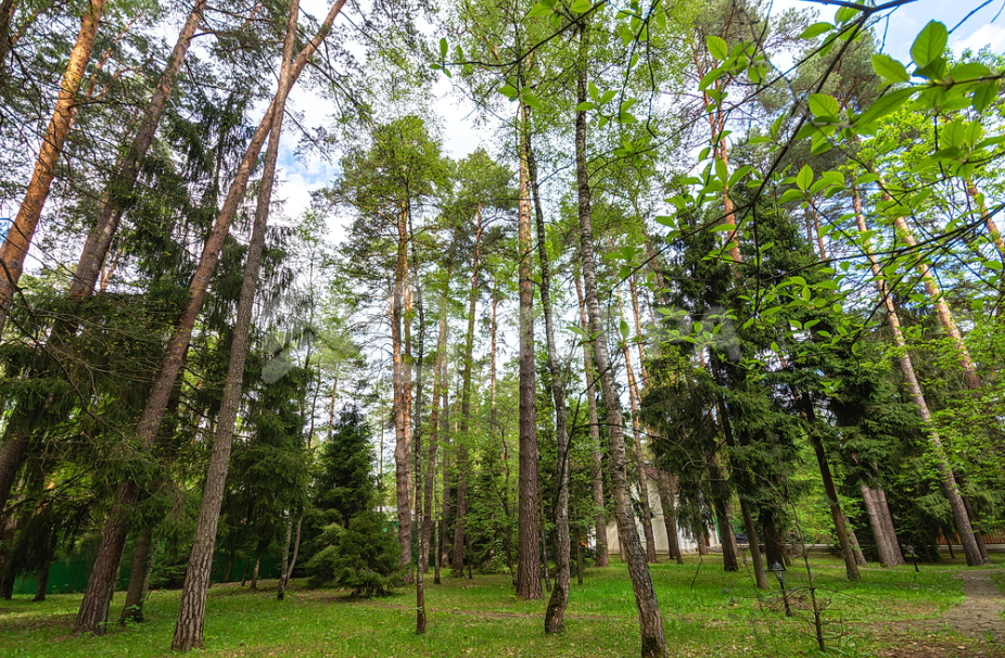 Объект ID 10226 - Дом