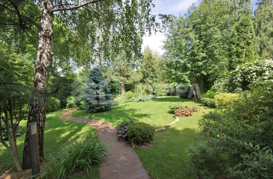 Объект ID 15484 - Дом