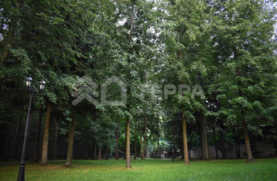 Объект ID 10092 - Дом