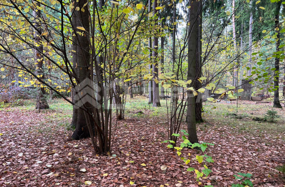 Объект ID 18445 - Участок