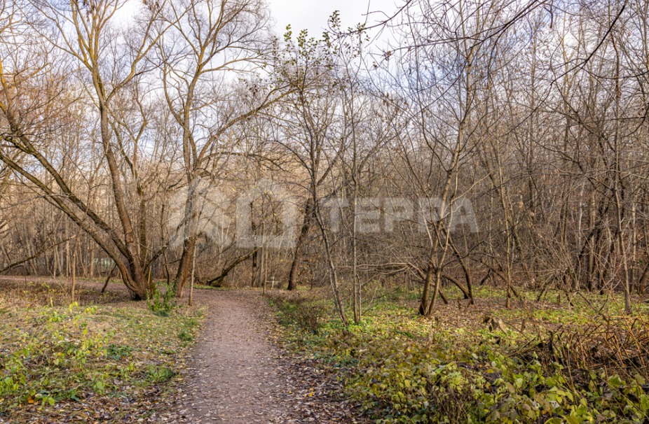 Объект ID 18292 - Участок