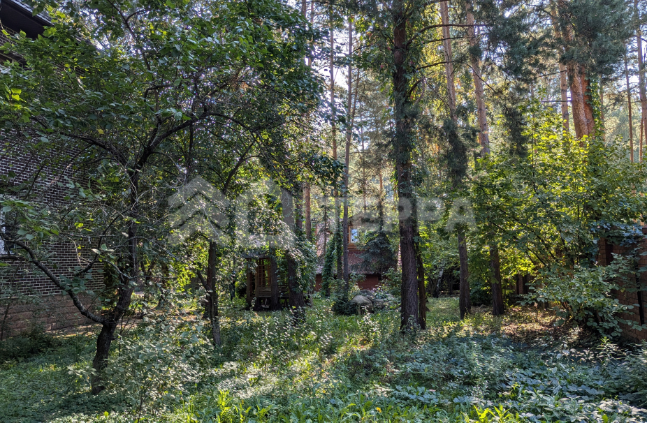 Объект ID 18751 - Участок