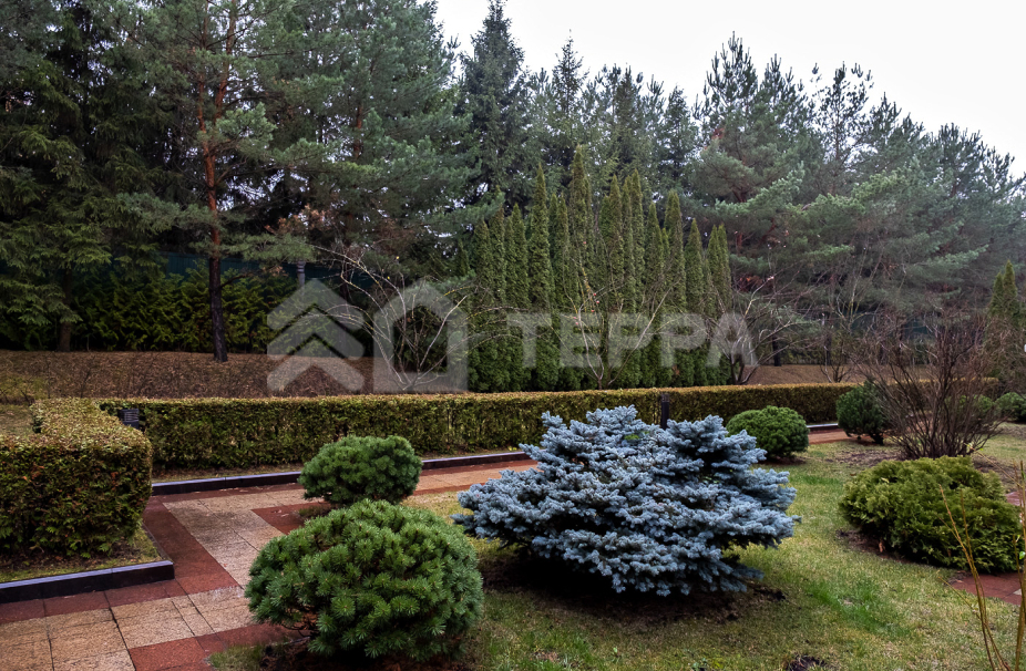 Объект ID 15808 - Дом