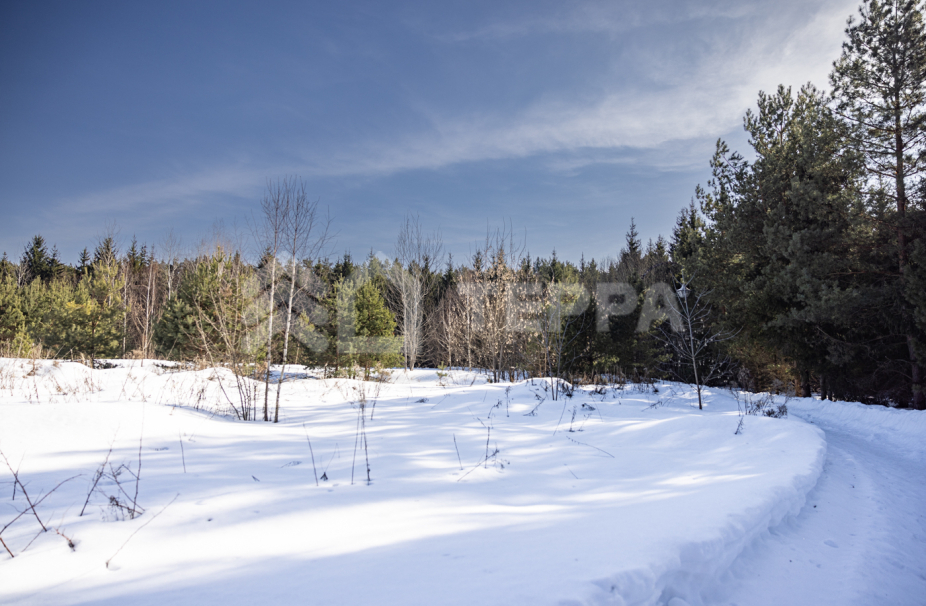 Объект ID 17973 - Участок