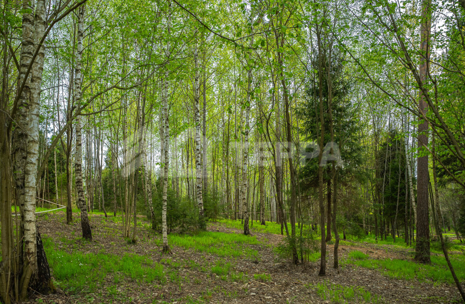 Объект ID 18571 - Участок