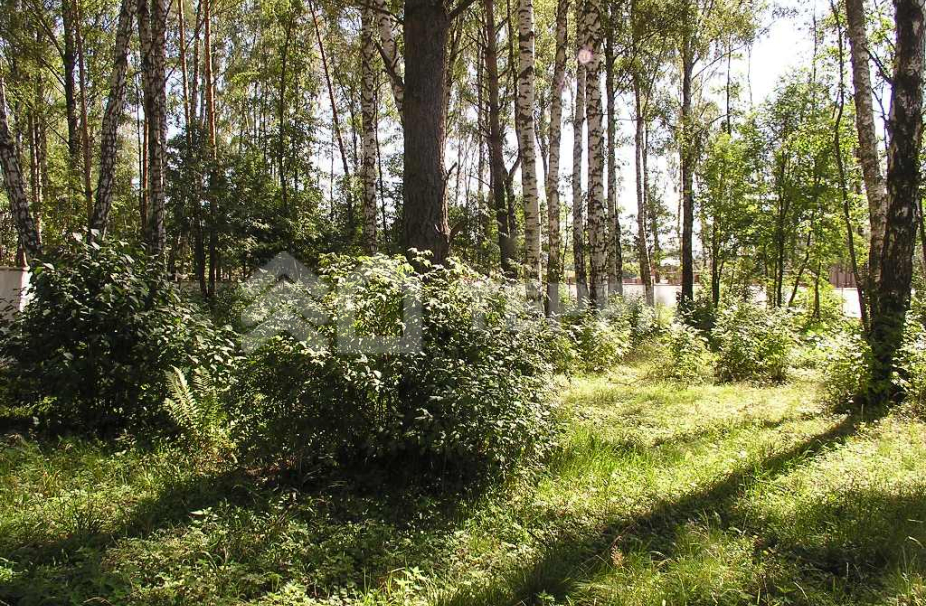 Усадьба Аносино