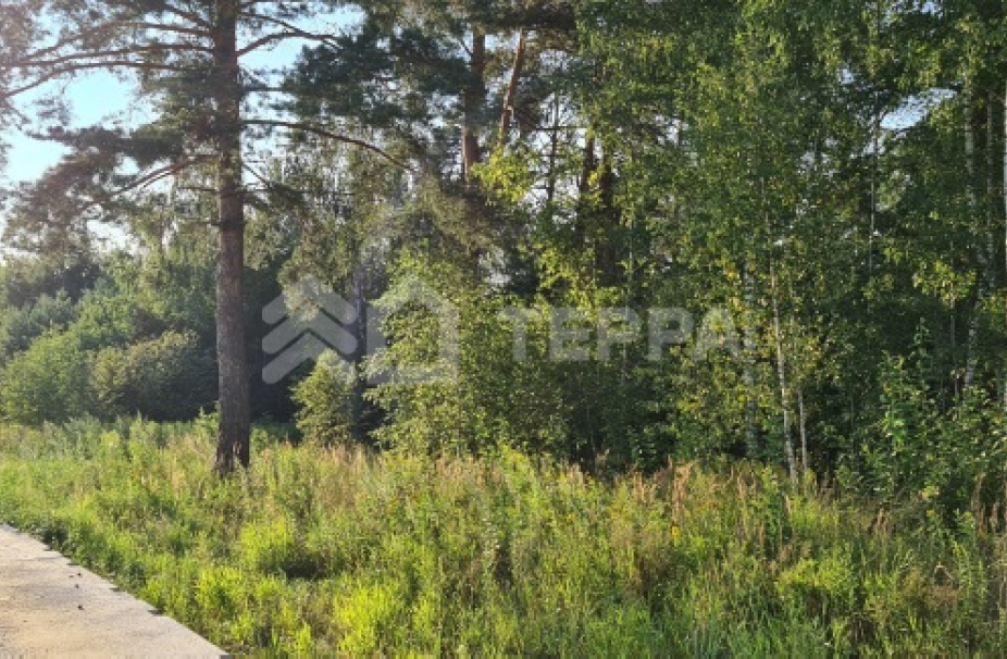 Объект ID 17250 - Участок