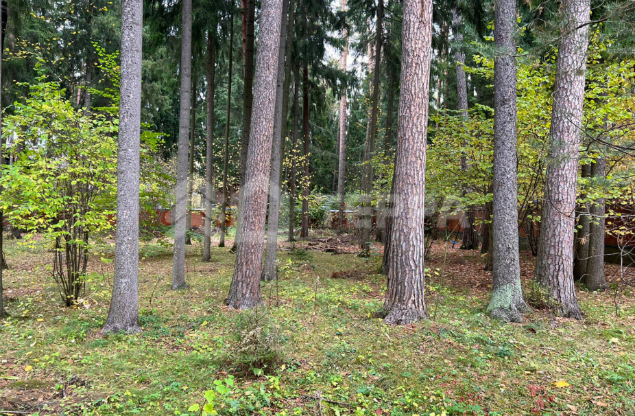 Объект ID 18445 - Участок