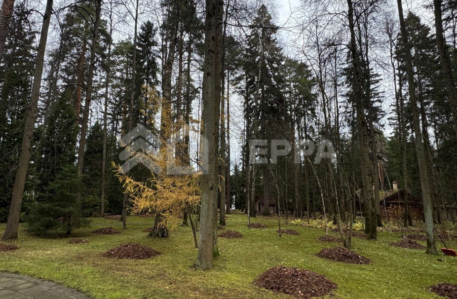 Объект ID 19034 - Участок