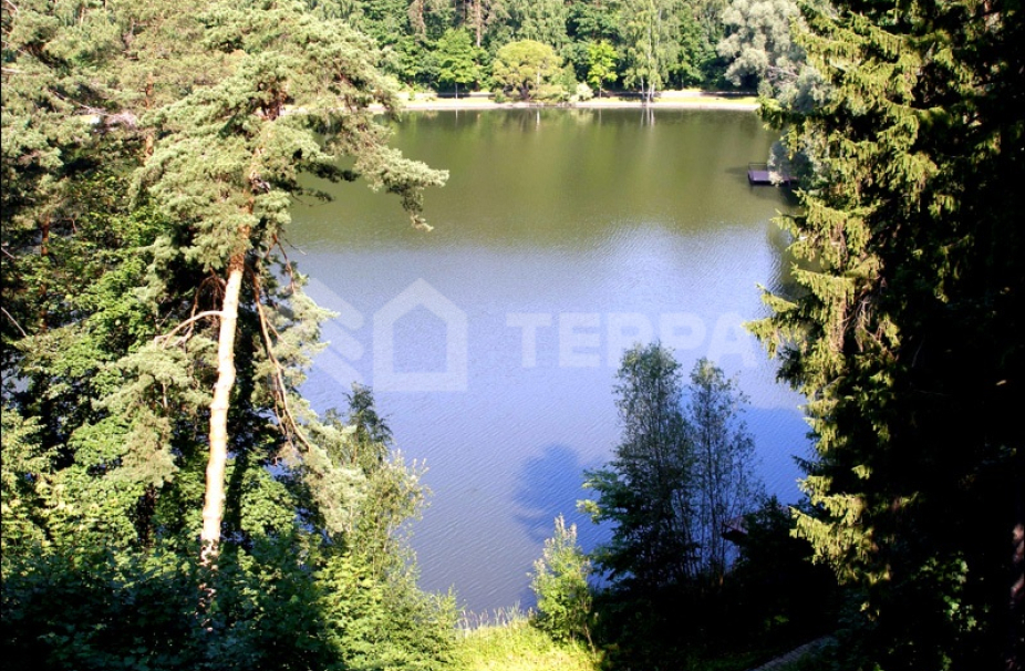 Объект ID 18981 - Участок