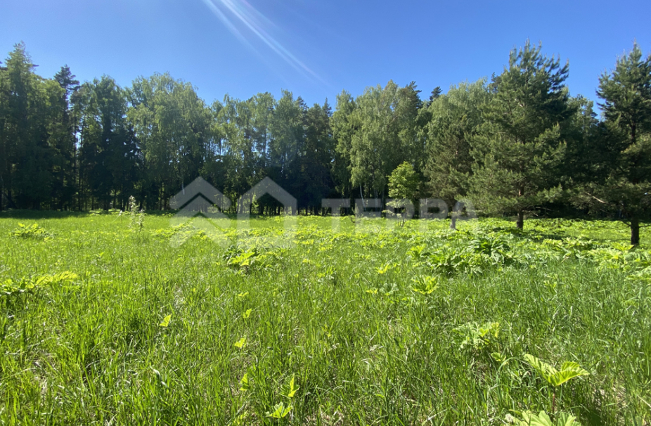 Объект ID 16848 - Участок