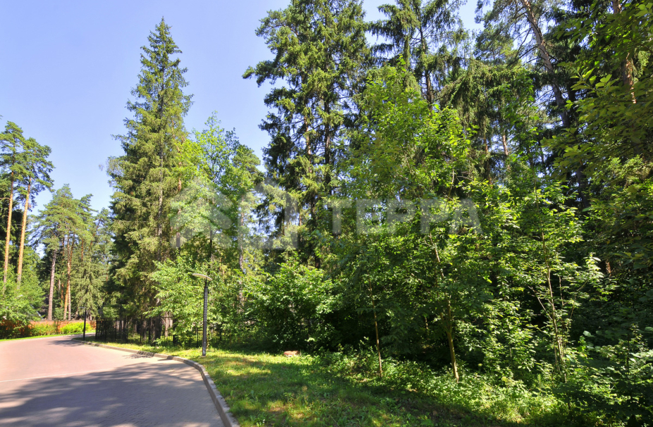 Сосновый Бор