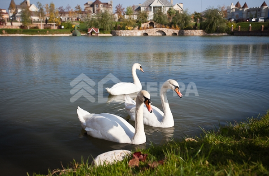 Объект ID 16753 - Дом