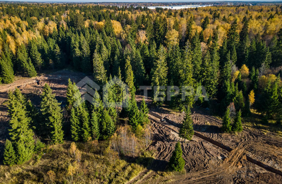 Объект ID 18175 - Участок