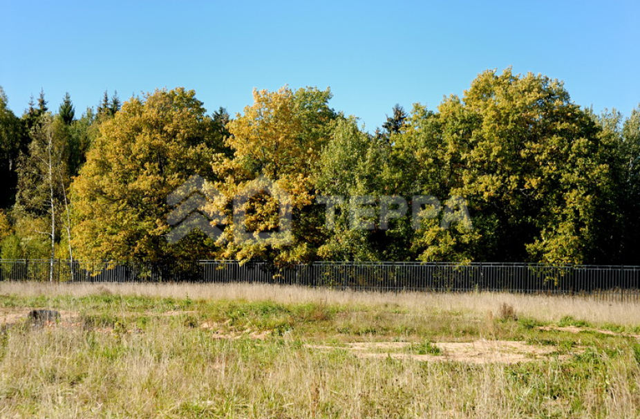 Объект ID 17881 - Участок